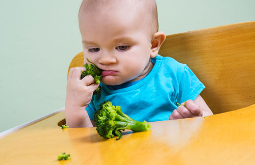 Temporary Assistance to Needy Families Santa Monica Case Study